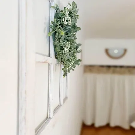 Apartment Charming Krakau